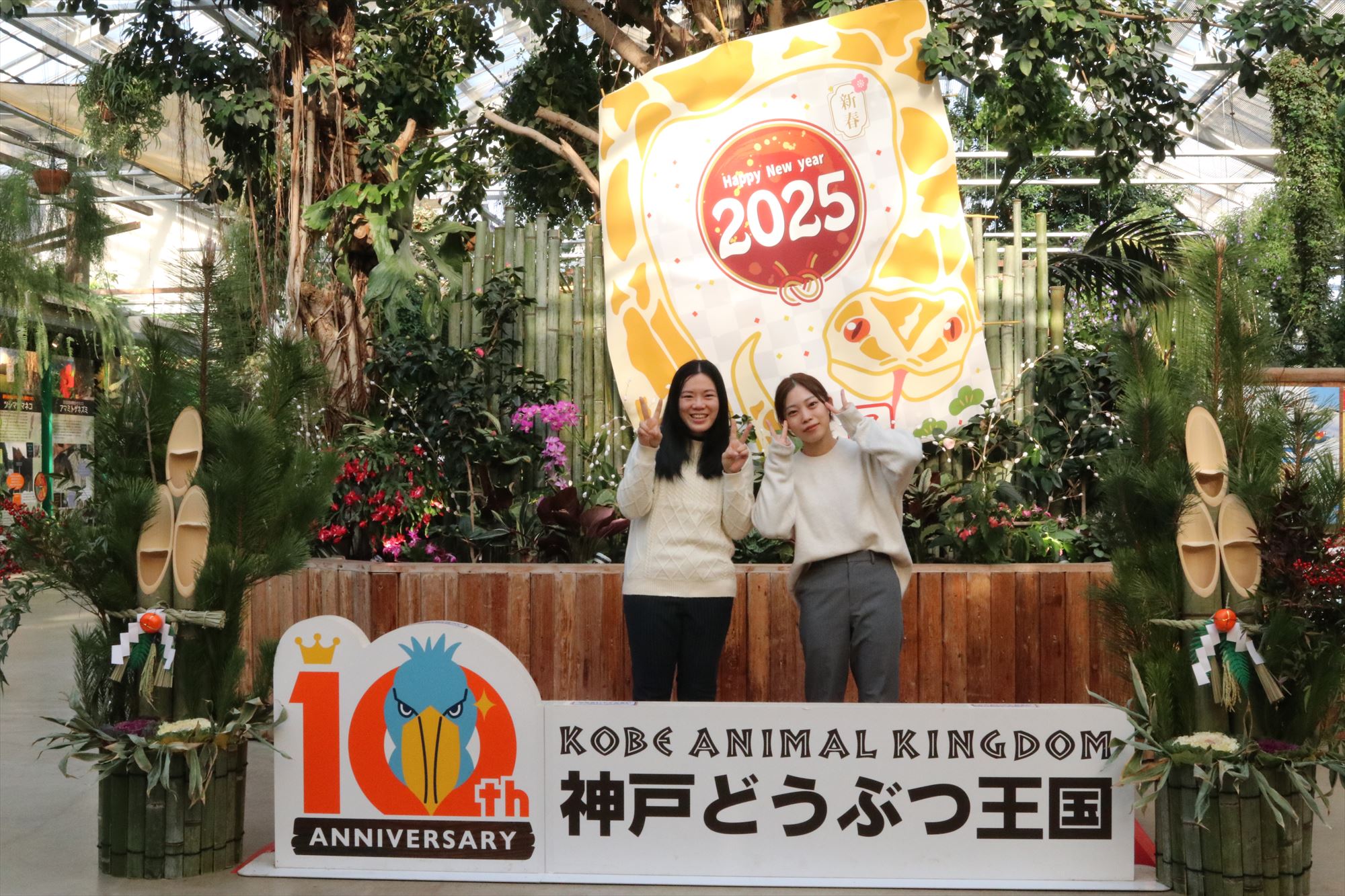 Animal kingdom banner